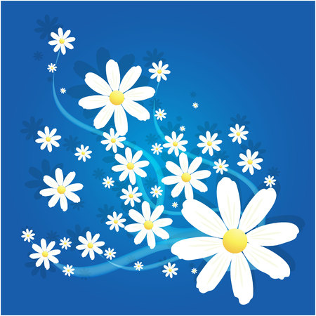 Matricaria camomile flower vector ornament on blue backgroundのイラスト素材