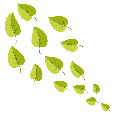 Leafs set for decoration and web illsutration. Vecotor cartoon spring green leaves.のイラスト素材