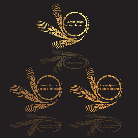 Wheat ears, oats or barley three vector    logotypes set golden on black background. Eco natural ingredient element, healthy food or agriculture, bread realistic for web and print, 3d decorationのイラスト素材