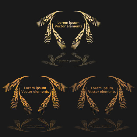 Wheat ears, oats or barley three vector    logotypes set golden on black background. Eco natural ingredient element, healthy food or agriculture, bread realistic for web and print, 3d decorationのイラスト素材