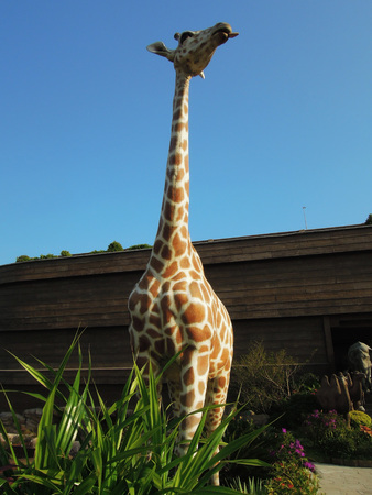 Giraffe figure in Noah s Ark Garden, Hong Kongの写真素材
