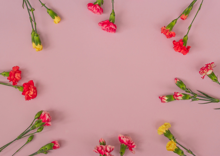 carnations flowers and copy space. Top view. Mothers Day background.の写真素材