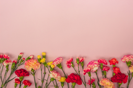Pink background with carnations flowers and copy space. Top view. Mother's Day background.の写真素材