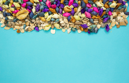 colorful seashells background with copy space on blueの写真素材