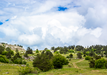 Colorful summer landscape in the mountains, under a blue sky with white cloudsの写真素材