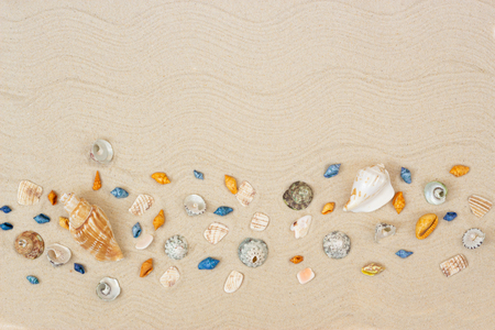 Seashells on sand. Sea summer vacation background with space for the text. Flat lay. Top viewの写真素材