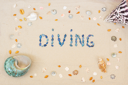 Sand on the beach in summer, the inscription diving from the shells on the sand. Close-up. Flat lay. Top viewの写真素材