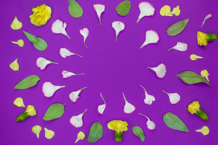 Multicolored flowers, petals and leafs of carnations on a purple background. Wallpapers. Top viewの写真素材