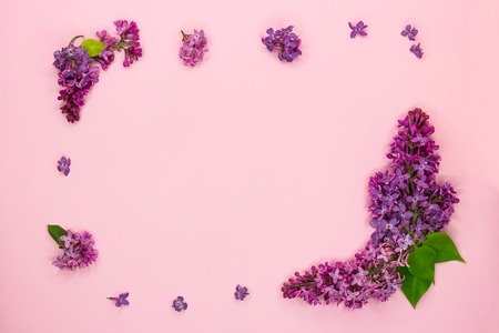 Frame of branches and flowers of lilac on a pink background. Blank for cards for spring and summer, wedding, mother's day, women's day, Valentine's day. Top view, copy space. Flat layの写真素材