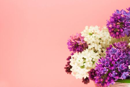 Romantic summer background with purple and white lilacs on pink and place for textの写真素材