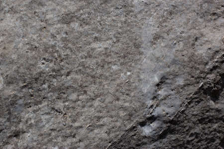 Ancient gray rock stone texture background closeupの写真素材