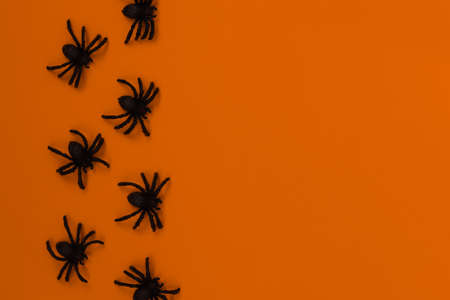 Halloween decorations concept. Halloween with spiders on orange background.の写真素材