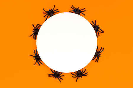 Round frame of black spiders on orange background. Top view. Flat lay. Holiday card Mock up