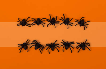 Rectangular frame of black spiders on orange background. Top view. Flat lay. Holiday card Mock upの写真素材