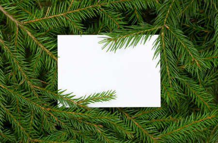 Concept Of New Year 2021, Christmas. Green spruce branches, white frame for text.
