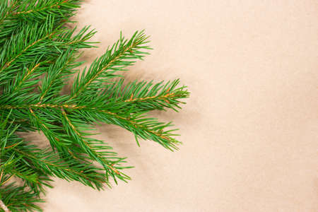 Traditional green christmas tree noble fir border frame on craft paper background with copy space.の写真素材