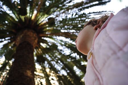 image taken from the bottom up as a child looking at the top of a palmの写真素材