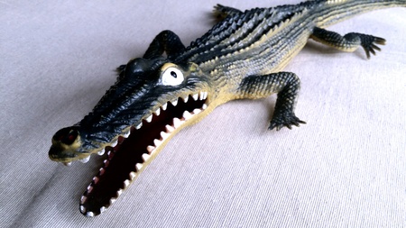 Toy crocodileの素材