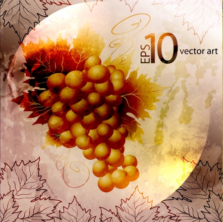 vector gold grapes in style grungeのイラスト素材