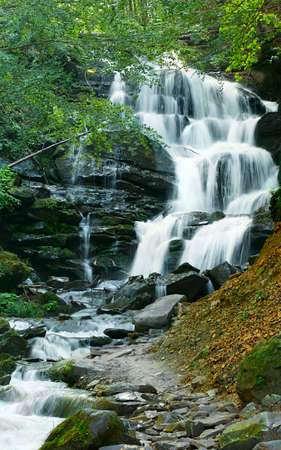 empty background with green summer forest, rocks and waterfall