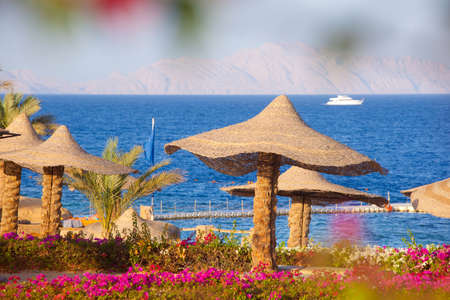 sunny beach tents with palm trees and flowers, view on sea, cruise ship and mountains, nobodyの写真素材
