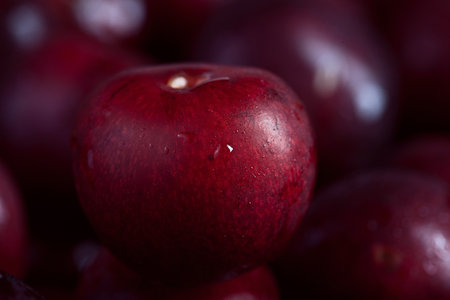 big fresh ripe black cherry super macro photo with blurred background, nobodyの写真素材