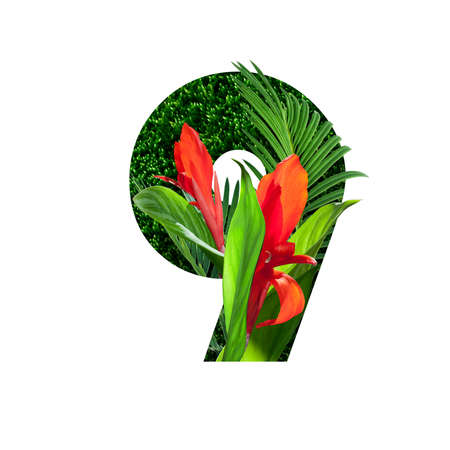 floral alphabet illustration, digit nine. set of letters with botanical bouquet. wedding...