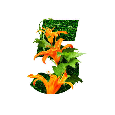 floral alphabet illustration, digit five. set of letters with botanical bouquet. wedding invitations, greeting cards, birthday, logo, poster other ideas.の写真素材