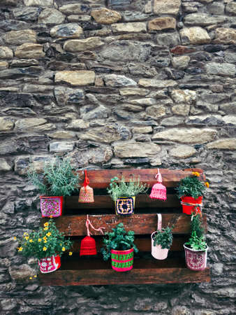 Pots of different bright colors with flowers hanging on a stone wall to decorate the house. Vertical garden. Urban orchard.の写真素材