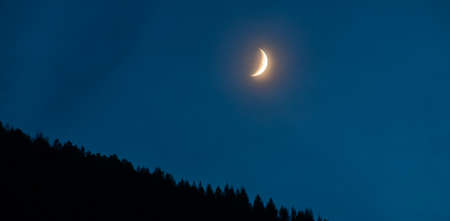 Landscape in the blue hour with the warm light of the moon and the silhouette of some beautiful firs or pines. Getaways to the mountains and outdoors.の写真素材