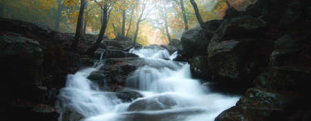 Waterfall flowing in the fall season. Beautiful autumn landscape in a beech forest. Beech trees with yellow, red and orange leaves. Montseny natural park, Barcelona, Catalonia.の写真素材