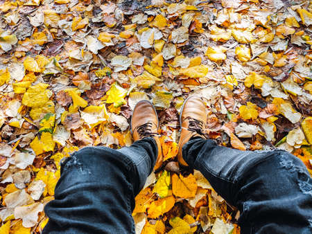 Anonymous person sitting among the foliage of autumn leaves. Yellow and orange fall maple leaves. View of legs and vintage shoes.の写真素材