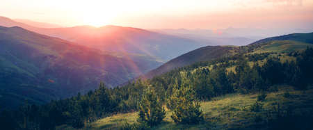 Beautiful sunrise on top of the mountain with fir trees. A new day begins. Sunbeams in the golden hour. Concept of nature, holidays, and healthy lifestyle. Panoramic landscape view.の写真素材