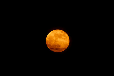 Orange full moon on black night sky. Blood moon. Flower moon. Lunar eclipse. Astronomy and astronomical concept.の写真素材