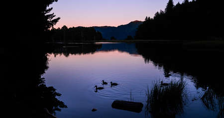 Beautiful sunrise or sunset on an alpine lake with the silhouette of some ducks in the Pyrenees, Catalonia, Spain. Concept of vacations, summer, relaxation and disconnection in nature. Wilderness.の写真素材