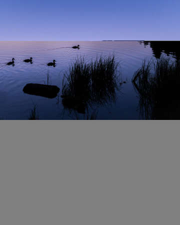 Picturesque sunset or sunrise of beautiful landscape with illuminated peaks, silhouette of some ducks and trees. Fantastic evening panorama of alpine mountain lake. Beauty of nature concept.の写真素材