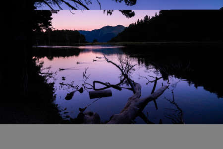 Fantastic evening panorama of alpine mountain lake. Picturesque sunset or sunrise of beautiful landscape with illuminated peaks, silhouette of some ducks and trees. Beauty of nature concept.の写真素材
