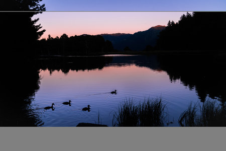 Beautiful sunrise or sunset on an alpine lake with the silhouette of some ducks in the Pyrenees, Catalonia, Spain. Concept of vacations, summer, relaxation and disconnection in nature. Wilderness.の写真素材