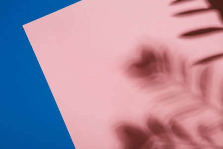 Abstract background of shadow of palm leaves on pink and blue paper backdrop. Creative summer...