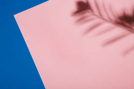 Abstract background of shadow of palm leaves on pink and blue paper backdrop. Creative summer minimal layout. Modern shade palm, great design for any purpose. Powdery pink background. Tropicalの写真素材