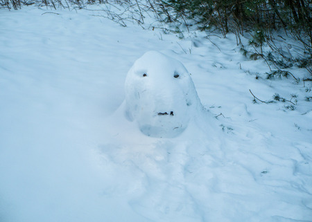 The snowman melted under the sun.Snowman melts under the sun