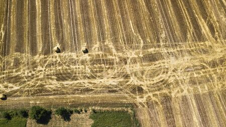 beveled wheat field aerial photography with droneの写真素材