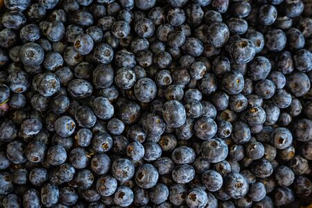 background of many blueberries top view