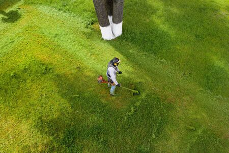 lawn mower mows grass top view
