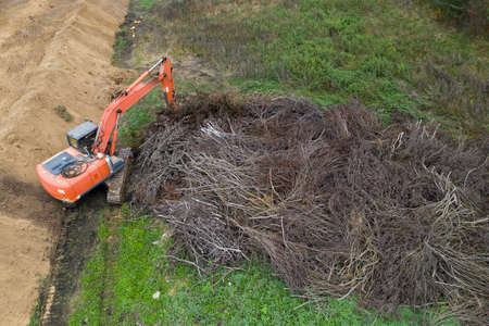 rotten vegetables and fruits in the grass. Cleaning of the garden. Sanctioned products.