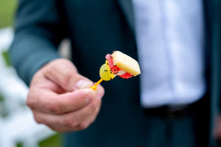 young seedlings of cucumbers on the background of the ground top view.の写真素材