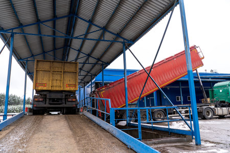A truck unloads potatoes at a starch factory