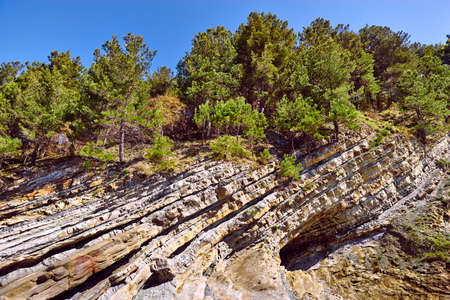 Rocks, green treesの写真素材