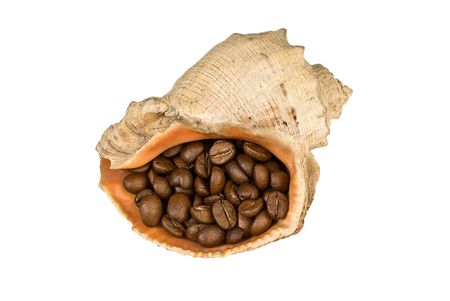 Coffee grains in a sea cockleshell