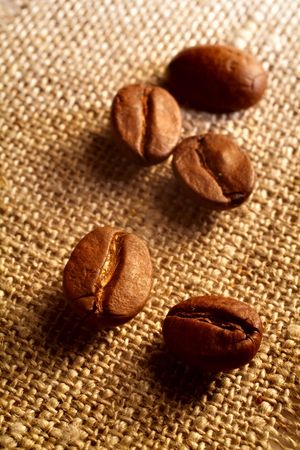 Coffee grains on a rough sackingの写真素材